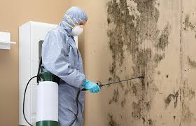 Environmental Consulting for Mold Prevention in Sheffield, OH